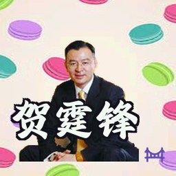贺霆锋